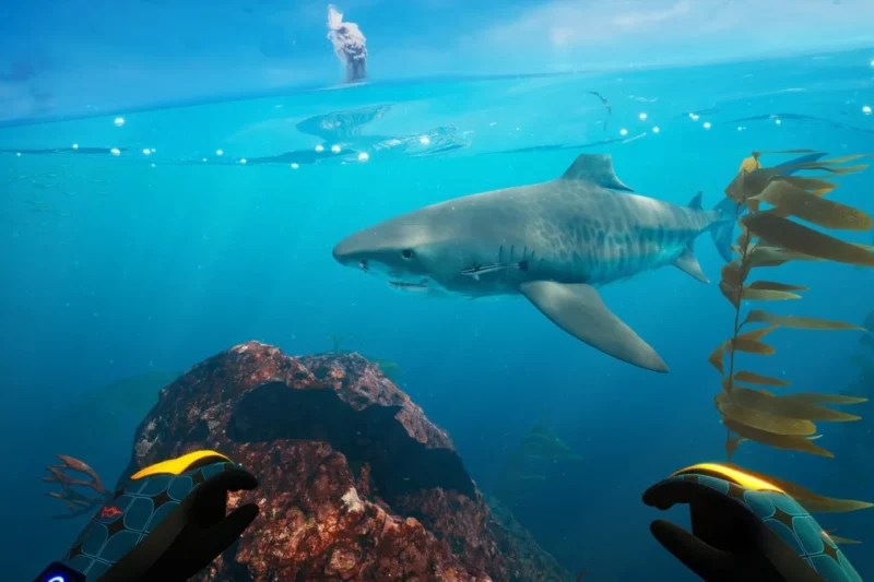 Beneath the Surface: Why Subside and the Makoa Shelf Expansion Are Defining the Future of VR Immersion