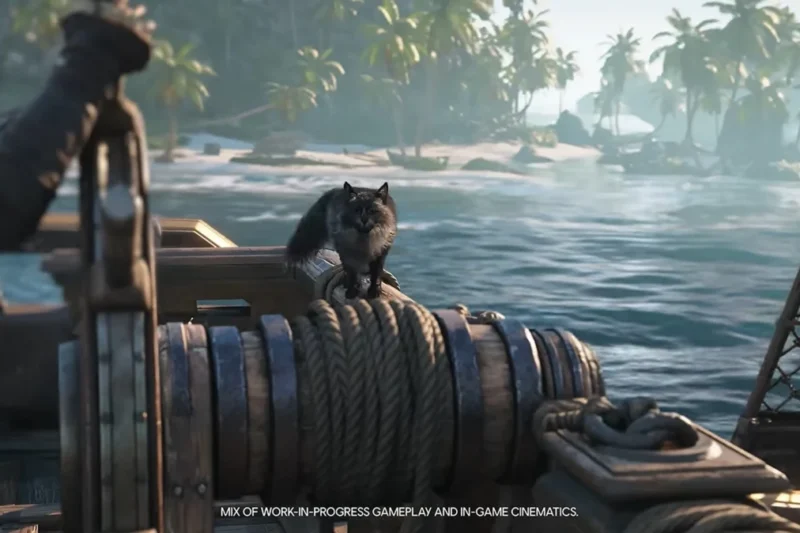 Setting Sail with New Friends: Everything We Know About Pets in Assassin’s Creed Black Flag Resynced
