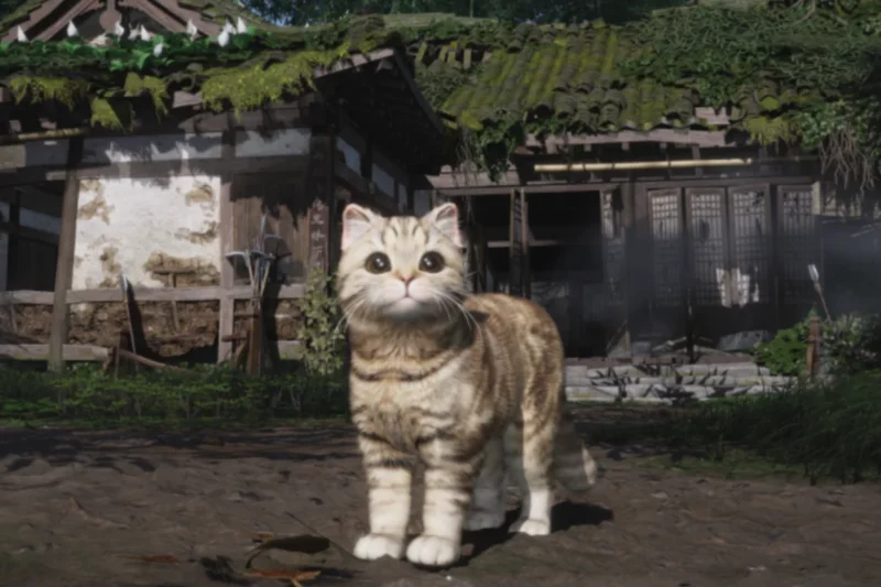 The Jianghu Expands: Deep Dive into Where Winds Meet’s ‘Companions Make Home’ 1.8 Update