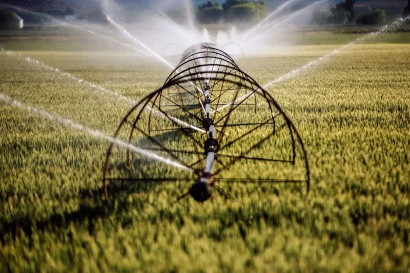 The Thirsty Giant: Amazon Defends Data Center Water Use Amidst National Scrutiny
