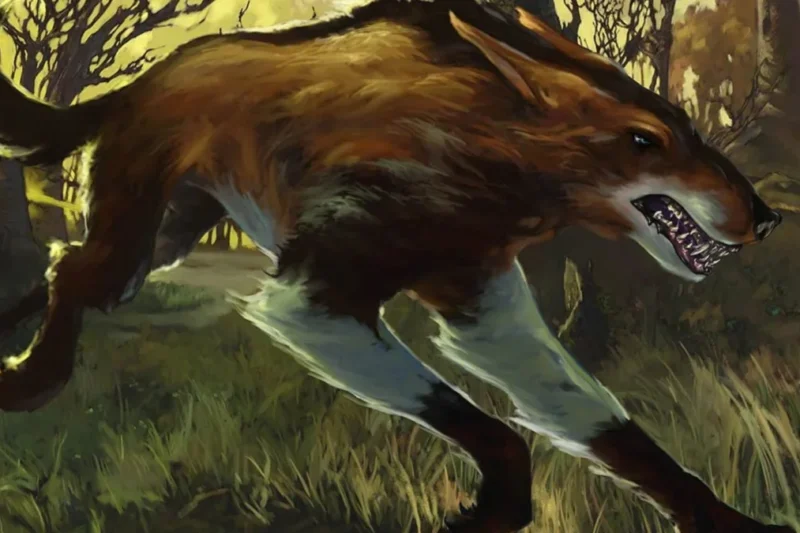 Beyond Commander: The Future of Pauper and Premodern in the Magic: The Gathering Ecosystem