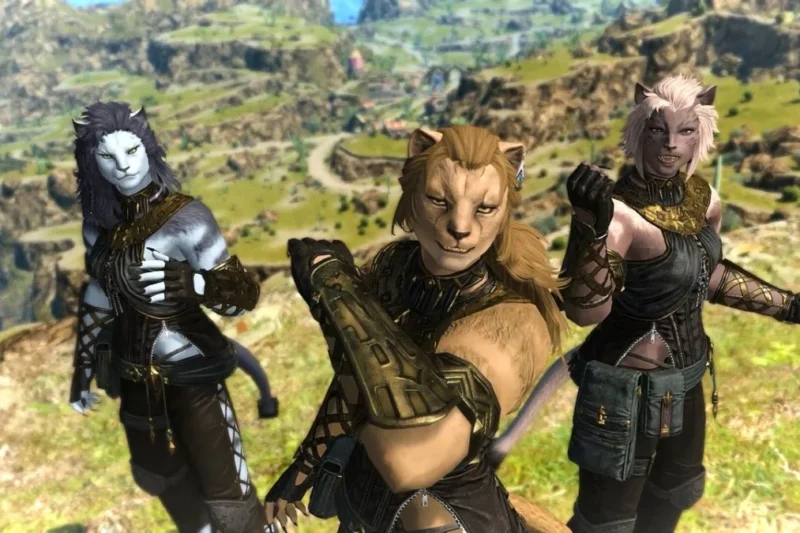 The Digital Shadows of Eorzea: The Rise and Fall of the FFXIV ‘Memoria’ Stalking Plugin