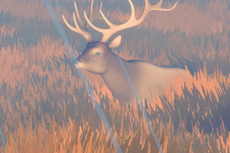 Navigating the Wasteland: An In-Depth Review of Funselektor Labs’ Over The Hill